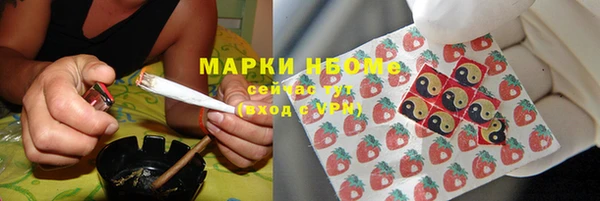 сатива Балахна