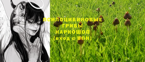 гашик Саяногорск