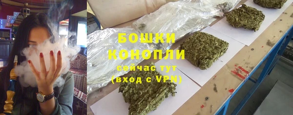 сатива Балахна